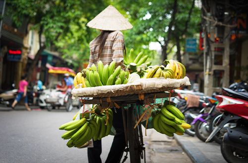 Ha Noi - Visite De La Ville (Pd ; Déj)