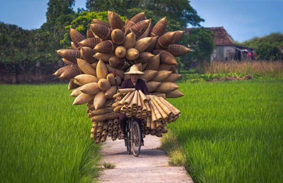 Village De Thu Sy - L’un Des Villages Les Plus Uniques Du Vietnam