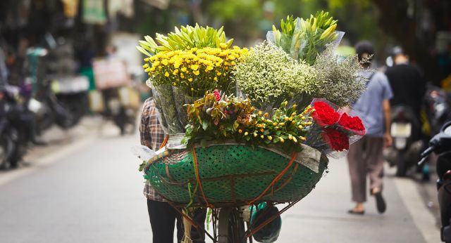 Vendeuse ambulante des fleures à Hanoï