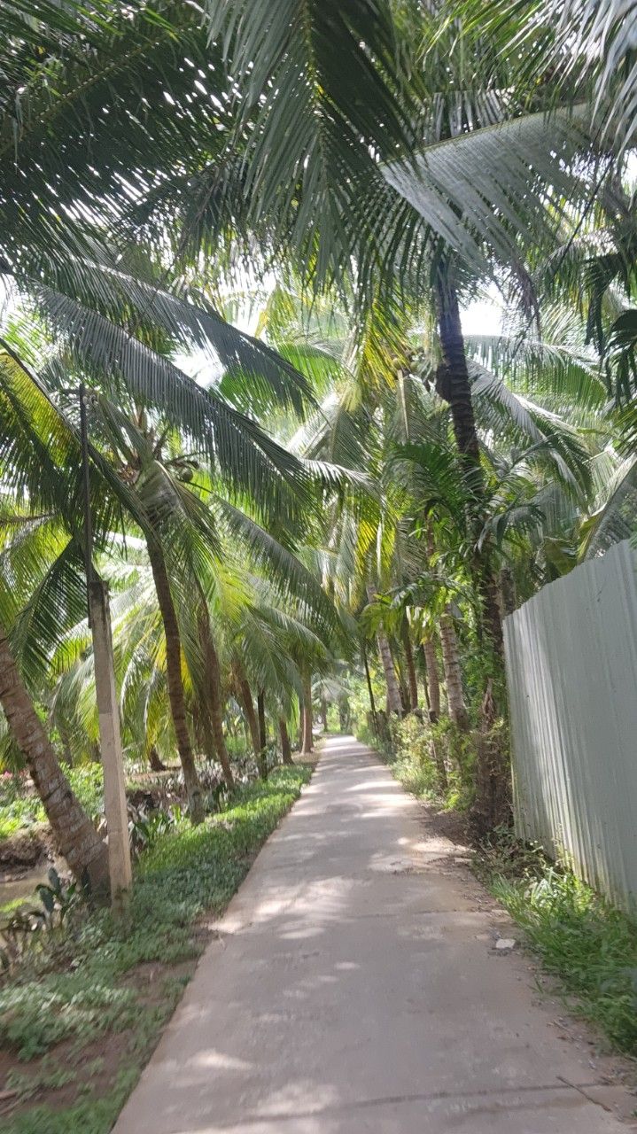 3-Mekong-Delta-Vietnam
