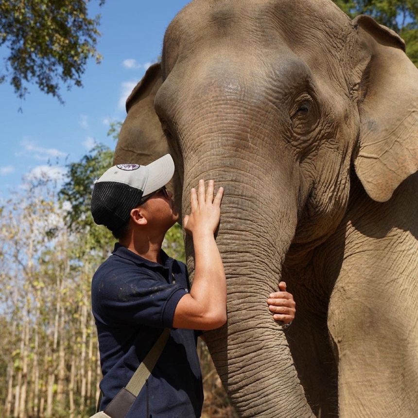 1-Elepphant-Luang-Prabang-Pakbeng-Sayaboury-Laos