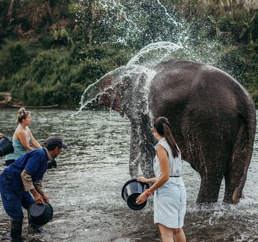 5-Elepphant-Luang-Prabang-Pakbeng-Sayaboury-Laos