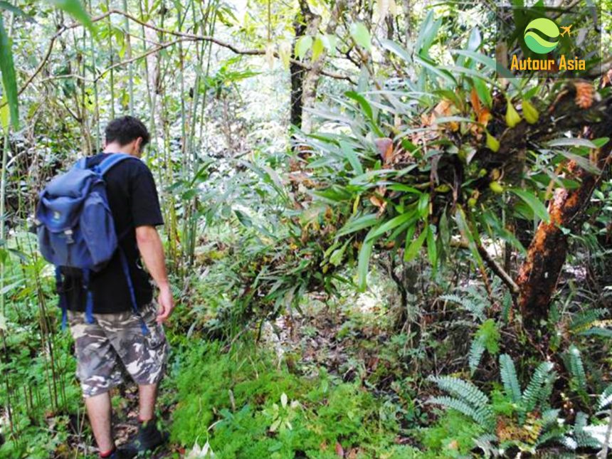 2-1200-Orchid-Trek-vientiane-Laos