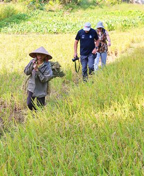 Randonnée à Mai Chau Vietnam (M Claude)