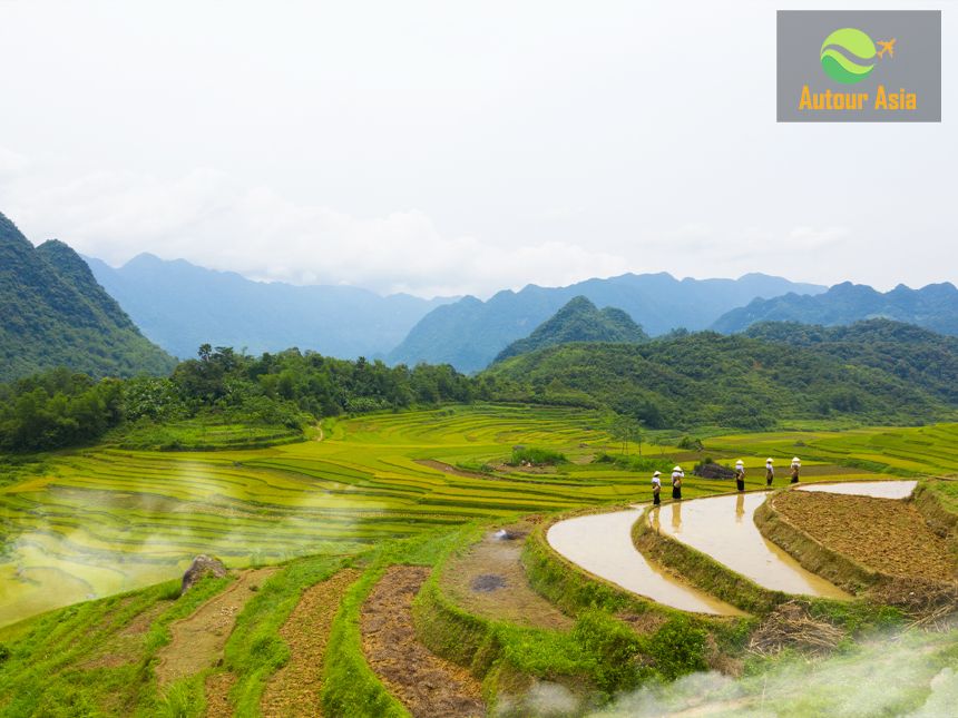1200-17-Puluong-Nature-Vietnam