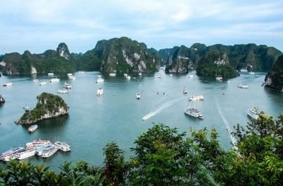 Voyage dune journée dans la baie dHalong