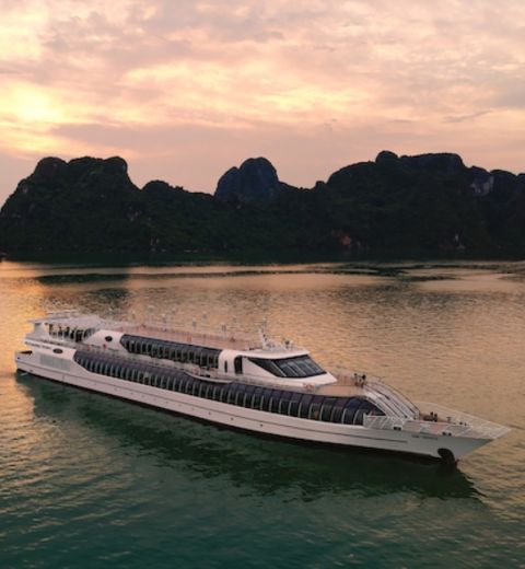 Croisière DUne Journée Paradise Delight Dans La Baie DHalong