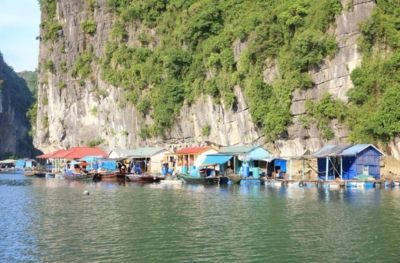 Cong Do - Grotte Thien Canh Son - Hanoi (B,L)