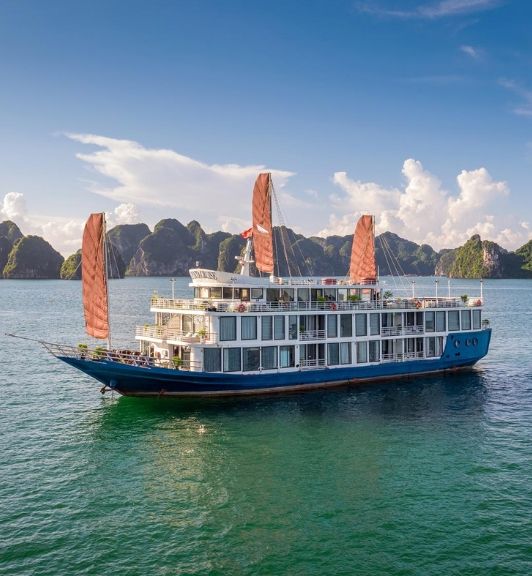 Jonque Verdure Lotus Classic Dans La Baie De Lan Ha