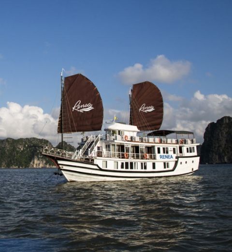 Croisière Jonque Renea Dans La Baie De Bai Tu Long