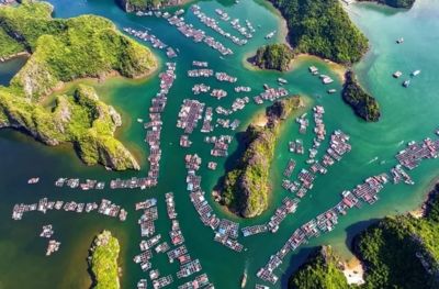 Hanoï - Baie dHalong - Baie de Lan Ha (Déjeuner - Dîner)