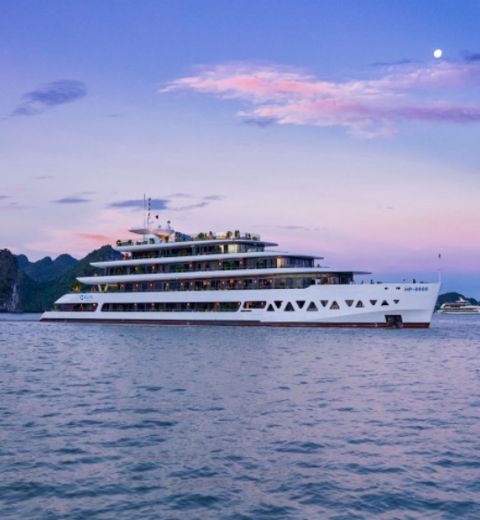 Croisière Elite Of The Seas Dans La Baie DHalong