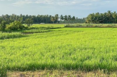Le village agricole Ban Don Saingam (B,L,D)