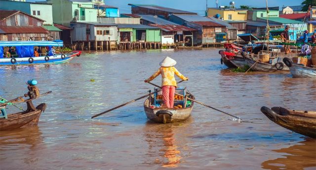 La vie quotidienne dans la rivière