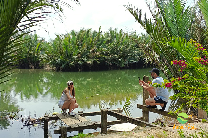 La forêt de cocotiers d’eau Bay Mau