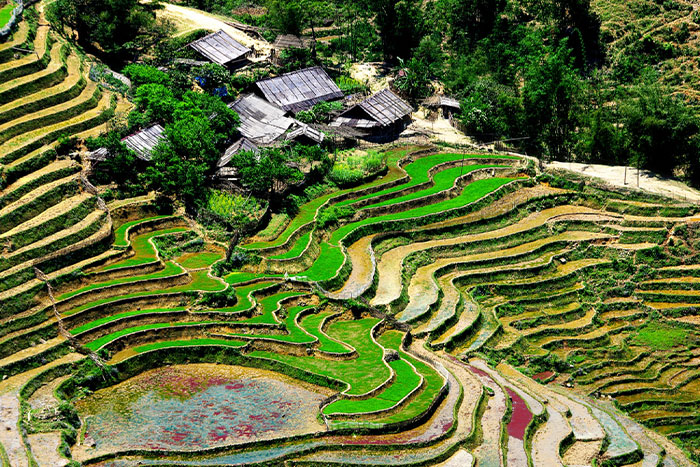 Chutes d'eau à Sapa