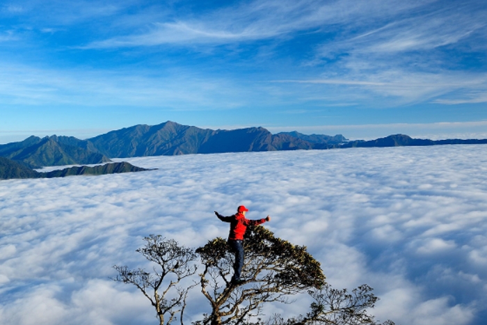 Mer de nuages à Ta Xua Vietnam