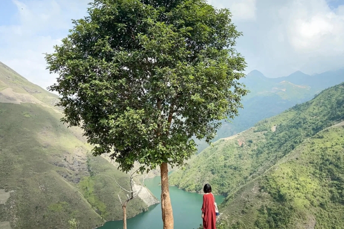 L'arbre solitaire à Ta Xua