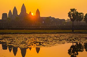 Visite DAngkor Temples (Angkor Wat – Angkor Thom - Bayon – Banteay Srei – Ta Prohm Temples) (Pd ; Dj)