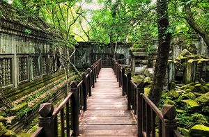 Siem Reap - Beng Mealea (Pd ; Dj)