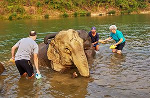 Luang Prabang - Camp Du Village Des éléphants - Cascade De Tad Sae (Pdéj / Déj)