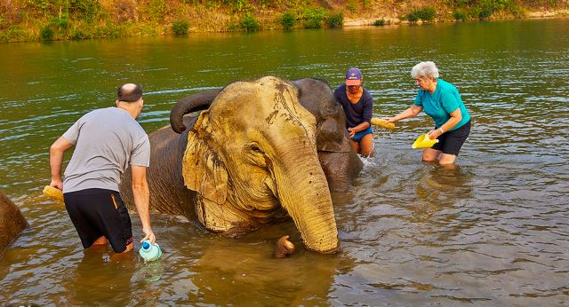 Camps déléphant à Luang Prabang