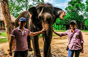 LUANG PRABANG – CAMP D’ELEPHANTS - CHUTES DE KUANG SI (Pdéj) GUIDE + CHAUFFEUR