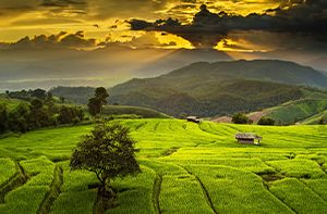 Village De Karen – Village De Lahu – Chiang Mai (Pd ; Déj)