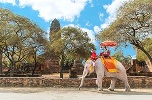 Chiang Mai – Visite De La Ville (Pd)