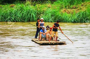 Chiang Mai - Ferme à Papier Elephant Poopoo – Croisière Sur La Rivière Mae Ping (Pd)