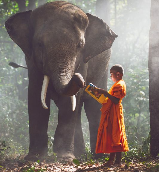 Visiter la Thailande incroyable en trois semaines 21 Jours 20 Nuits