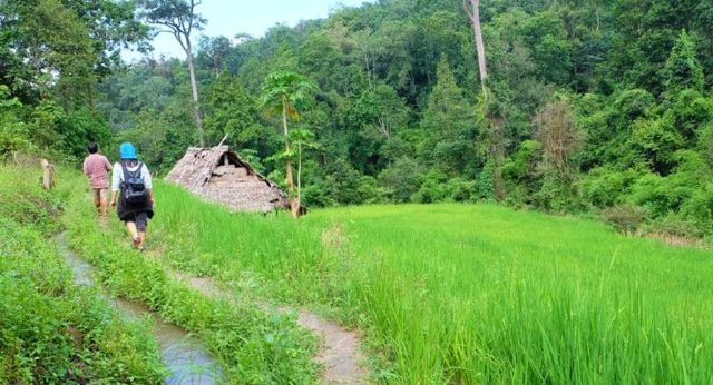 Randonnée à Chiang Mai Thaïlande