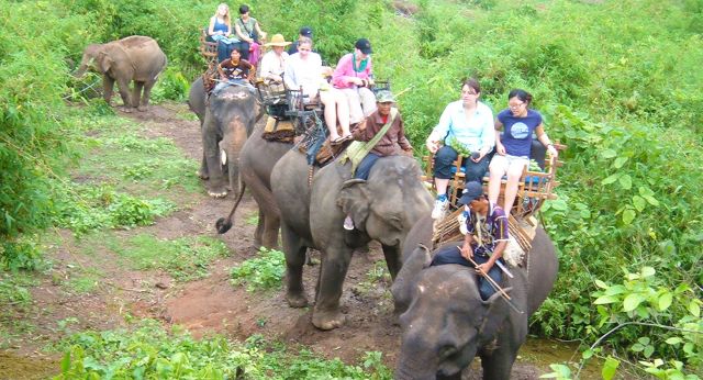 Balade à dos déléphant à Chiang Rai
