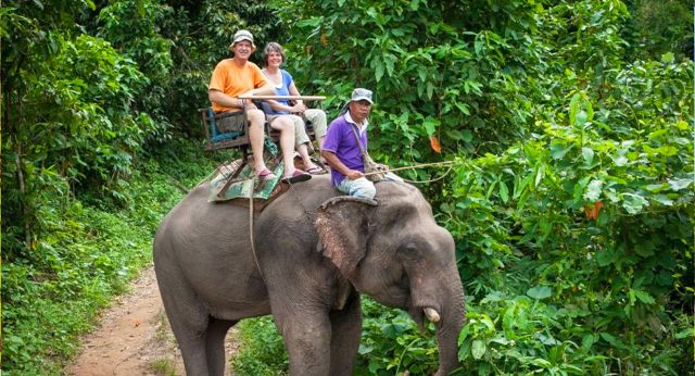 Balade à dos déléphant à Chiang Rai