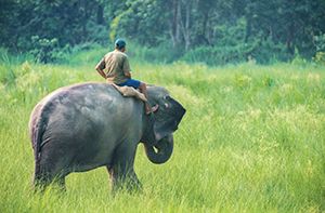 Chiang Mai – Départ (Pd)