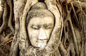 Ayutthaya – Train De Nuit Pour Chiang Mai (Pd)
