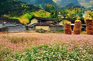 Nặm Đăm Homestay – Dong Van