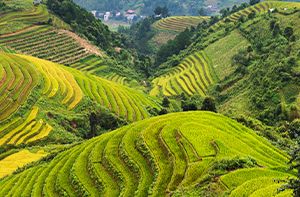 Hanoi – Sapa En Bus Express | Village De Cat Cat – Sin Chai (Pd)