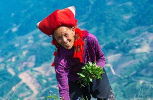Bản Hồ - Sapa (Pd)