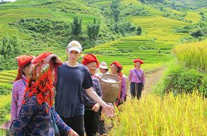 Hanoi – Sapa En Bus Express | Village De Má Tra (sans Repas)