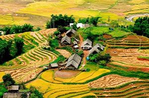 Giang Ta Chai - Sapa - Hanoi | En Bus Express (Pd)