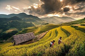Sa Séng - Hầu Thào - Giàng Ta Chải (Pd ; Déj; Dîner)