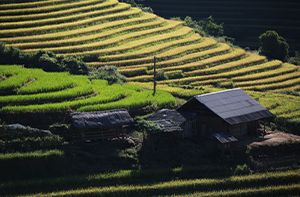 Sapa - Randonnée Aux Villages Y Linh Ho, Lao Chai, Ta Van - Chez Lhabitant (Pd; Déj; Dîner)