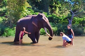 Buon Ma Thuot - Parc National De Yokdon - Village De Buon Don (Pd)