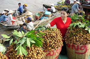Ho Chi Minh Ville - Cai Be (Dj ; Dîner)