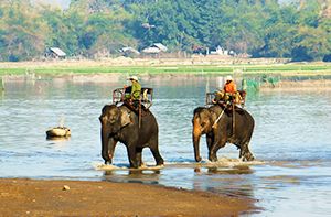 Buon Ma Thuot - Parc National De Yokdon - Village De Buon Don (Pd)