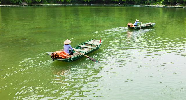 Croisière en barque à Thung Nham (Ninh Binh)