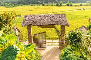 Hanoi - Mai Chau - Pu Luong (200km - 5h30 En Voiture) (Pd ; Déj ; Dîner)