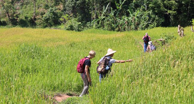 Randonnée dans la vallée de Mai Chau