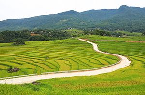 Hanoi - Mai Chau - Pu Luong (200km - 5h30 En Voiture) (Pd ; Déj ; Dîner)